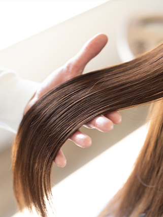 ヘアリセッター